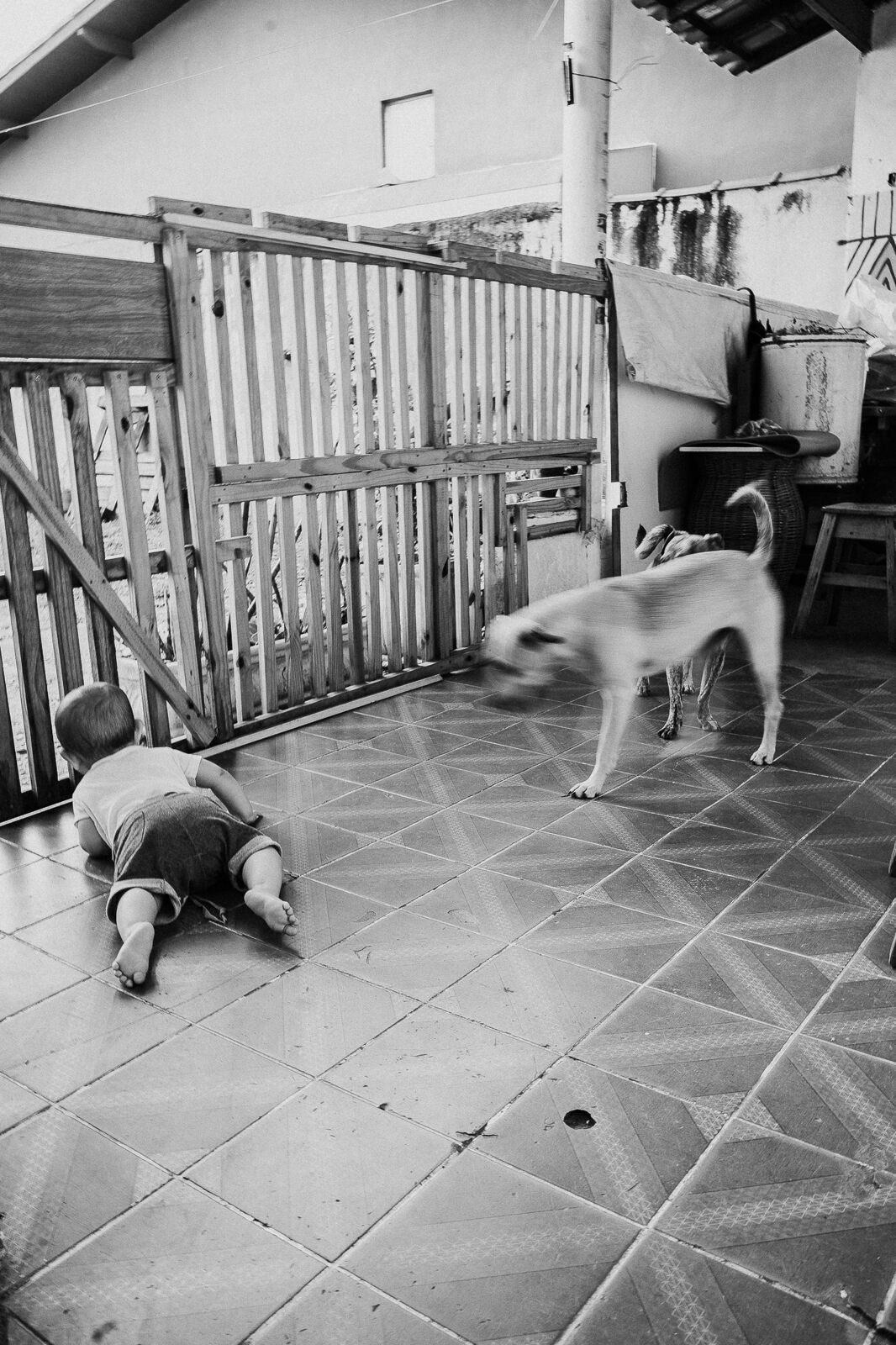 Foto Documental de família: Caetano - Jacareí - SP Foto Documental de família: Caetano - Jacareí - SP - Imagem 31