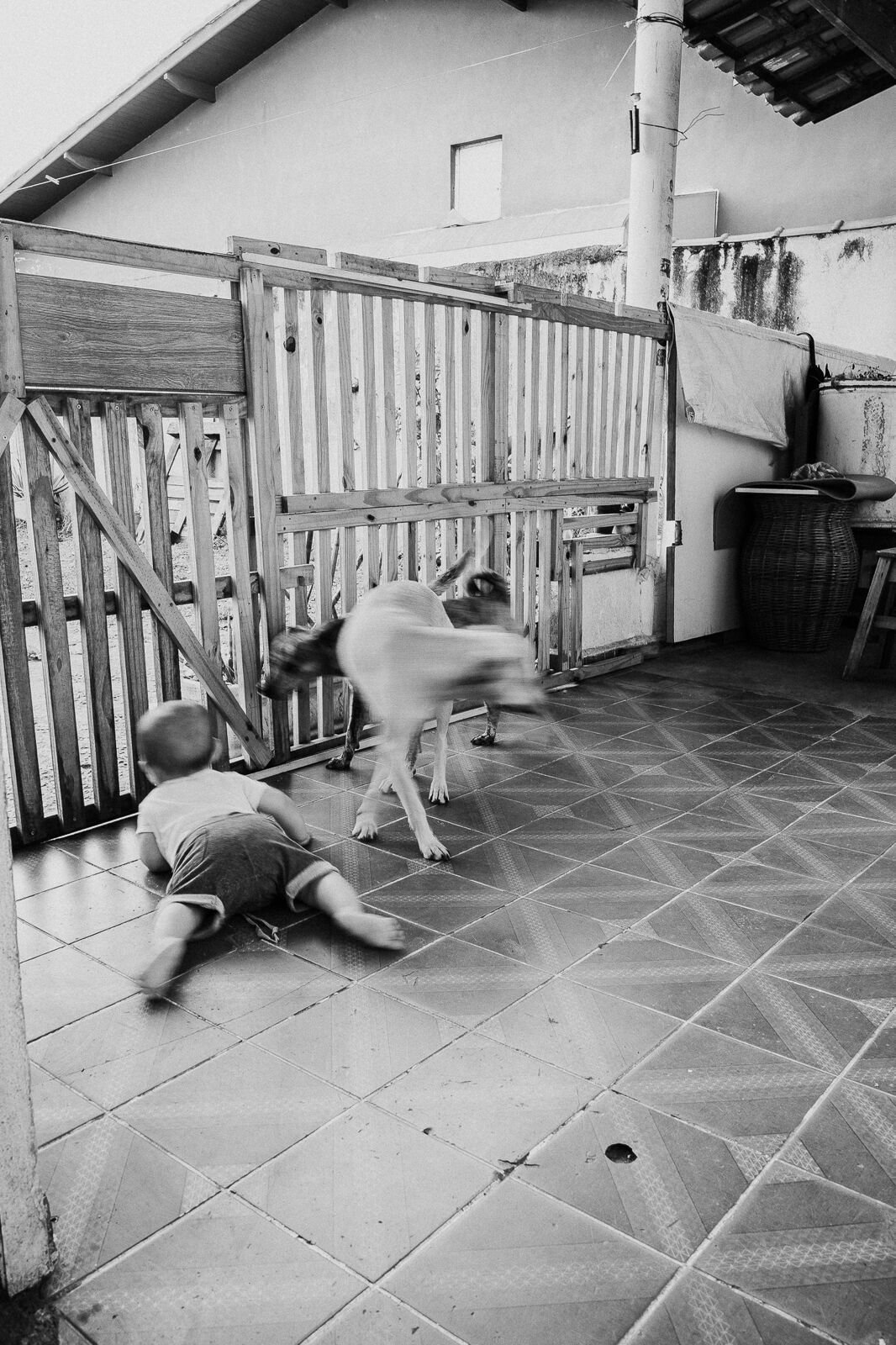 Foto Documental de família: Caetano - Jacareí - SP Foto Documental de família: Caetano - Jacareí - SP - Imagem 32