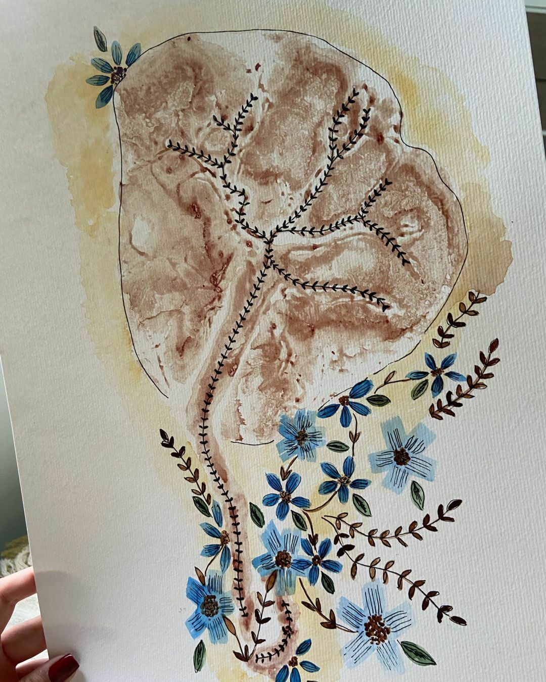 Foto Você conhece o carimbo da Placenta? Foto Você conhece o carimbo da Placenta? - Imagem 0