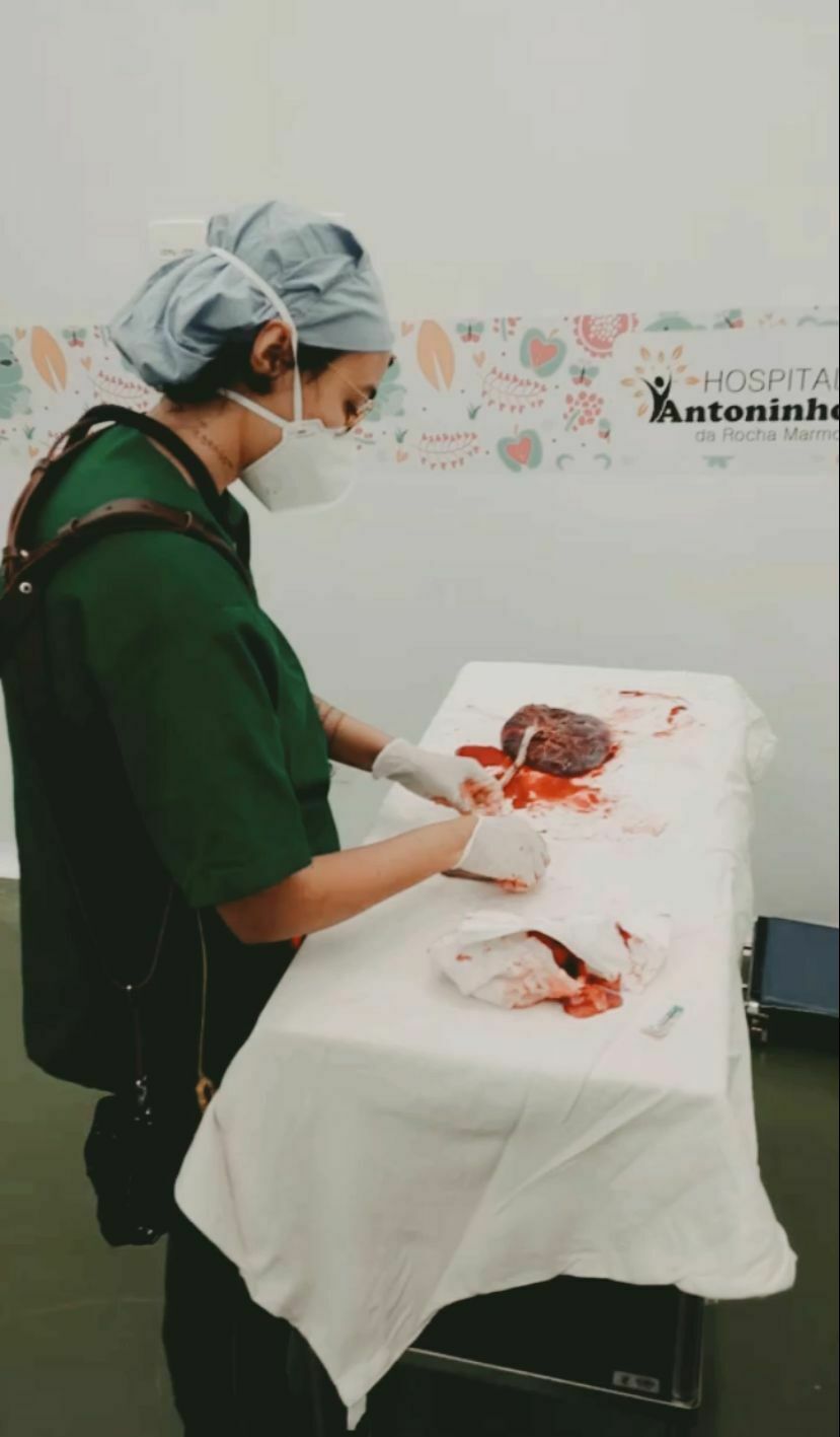 Foto Você conhece o carimbo da Placenta? Foto Você conhece o carimbo da Placenta? - Imagem 9