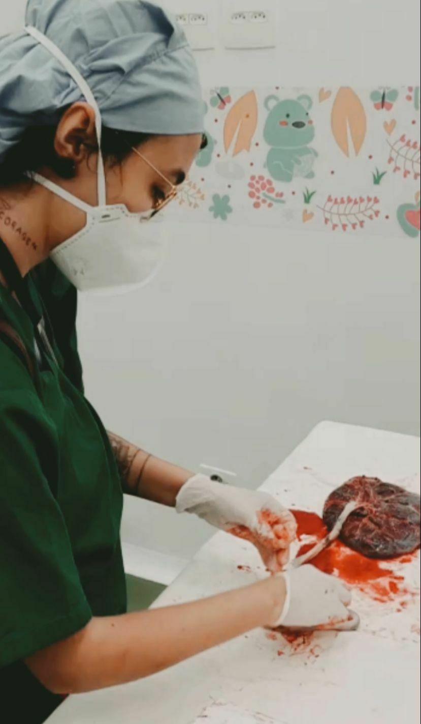 Foto Você conhece o carimbo da Placenta? Foto Você conhece o carimbo da Placenta? - Imagem 8
